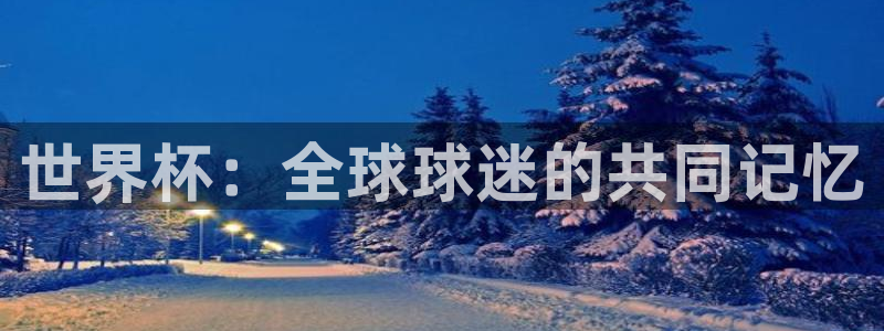 世界杯 中国:世界杯:全球球迷的共同记忆