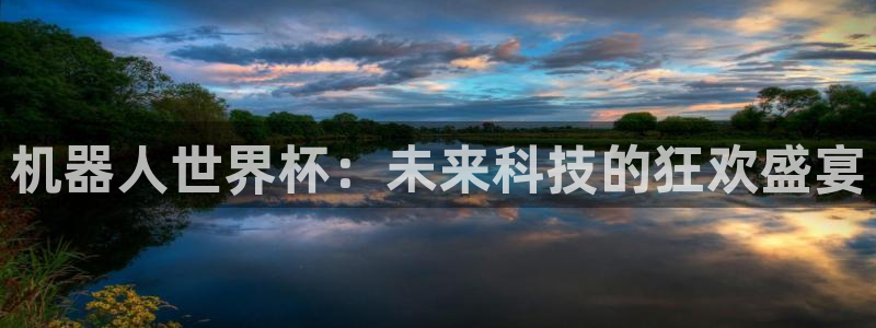 世界杯比赛直播:机器人世界杯:未来科技的狂欢盛宴