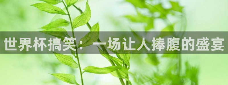 2026世界杯小组赛赛程时间表:世界杯搞笑:一场让人捧腹的盛宴