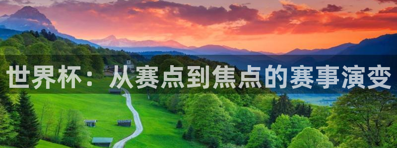 足球世界杯:世界杯:从赛点到焦点的赛事演变
