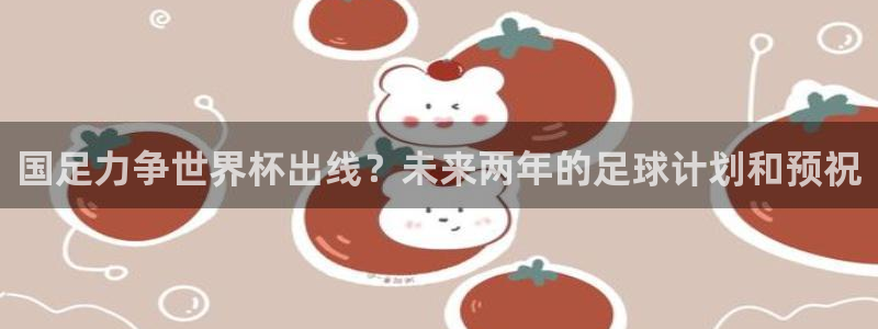 2026年世界杯时间表:国足力争世界杯出线?未来两年的足球计划和预祝
