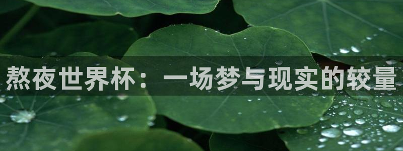 美国世界杯:熬夜世界杯:一场梦与现实的较量